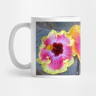 Hawaiian Hybrid Hibiscus Mug
